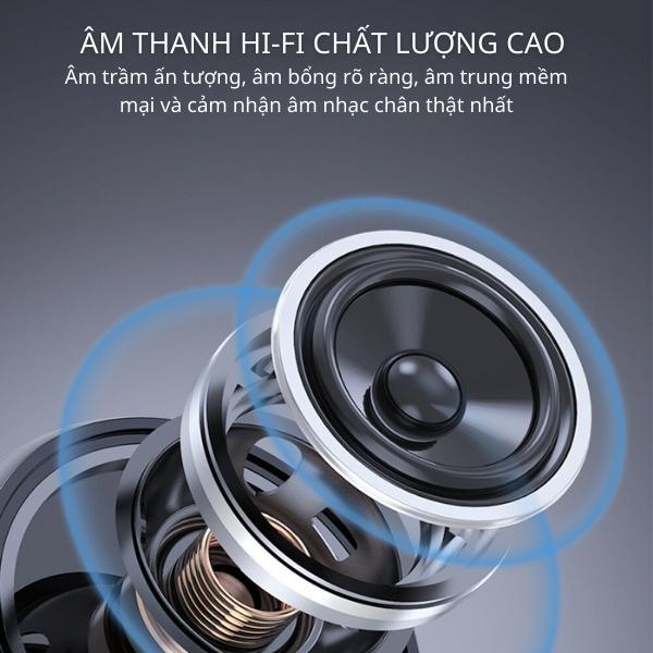 vn-11134207-7r98o-lsarre3kcgxw81