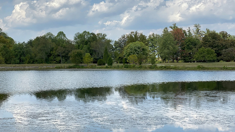 iphone 11 pro tgdd13