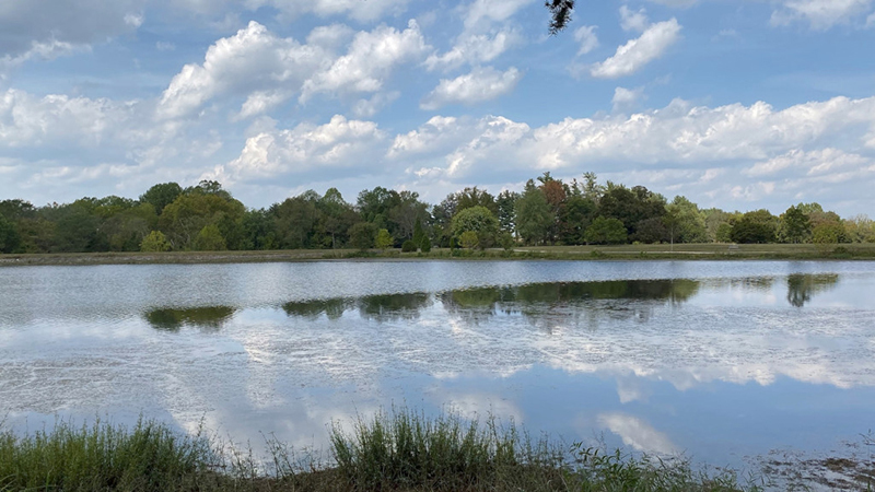 iphone 11 pro tgdd16